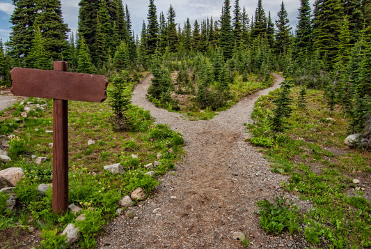 Is It Time to Pivot Your Career in a New Direction?