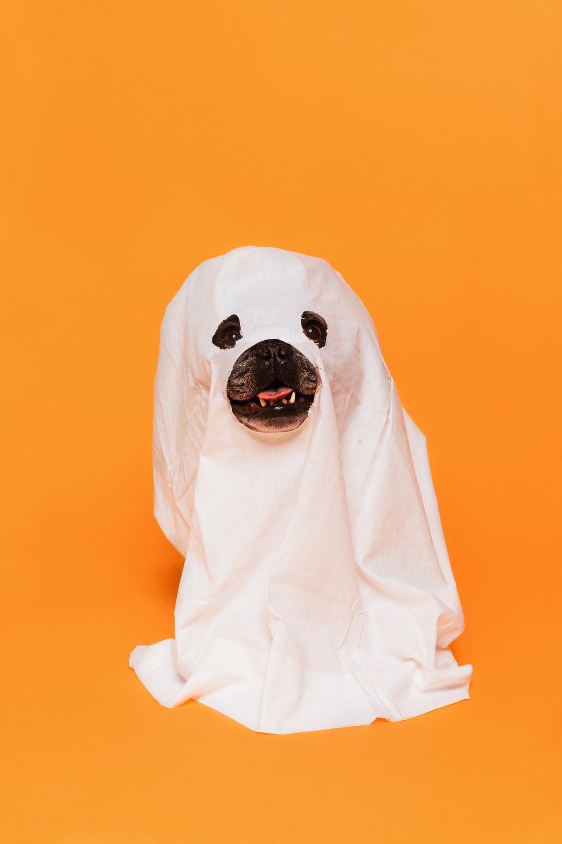 Why Ghosting Happens in Some Recruiting Processes, and How to Overcome it in Your Job Search